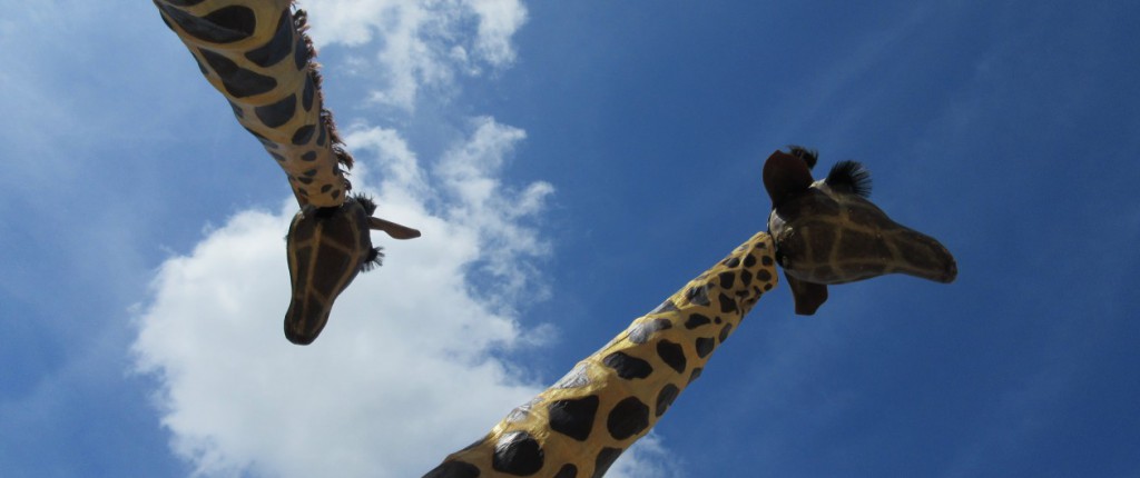 Giraffenvlekjes